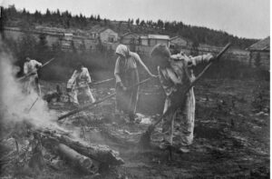 Lassilan talon maalla kasketaan naurishalmetta varten. Kuva on Sonkajärven Vänninmäen kylästä. Kuva: Väinö Puurunen / Museoviraston kuvakokoelma.