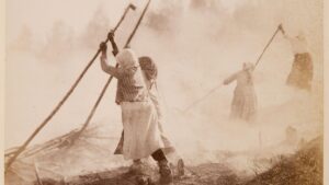 Kaskenviertoa Enossa 1890-luvulla. Kuva: I. K. Inha / Museoviraston kuvakokoelma.
