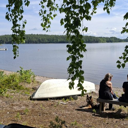 Kohteen Haapasaaresta uusi kohde retkisaarien verkostoon pääkuva