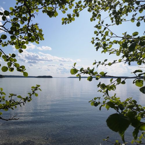 Kohteen Haapasaaren kuulumisia pääkuva