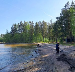 Talkoolaiset haravoivat Sarviniemen ranta-aluetta.