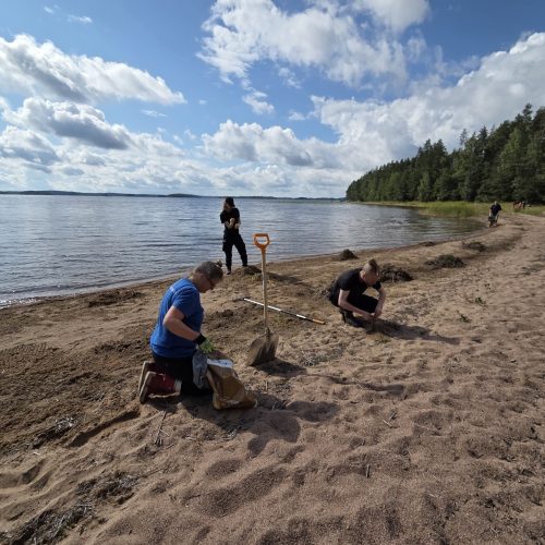 Kohteen Tule mukaan luonnonhoitotalkoisiin Päihäniemeen ja Hiitolanjoelle pääkuva